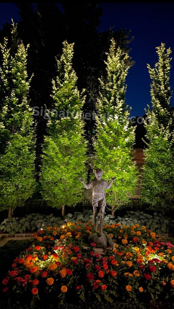 Lighted Landscaping Art